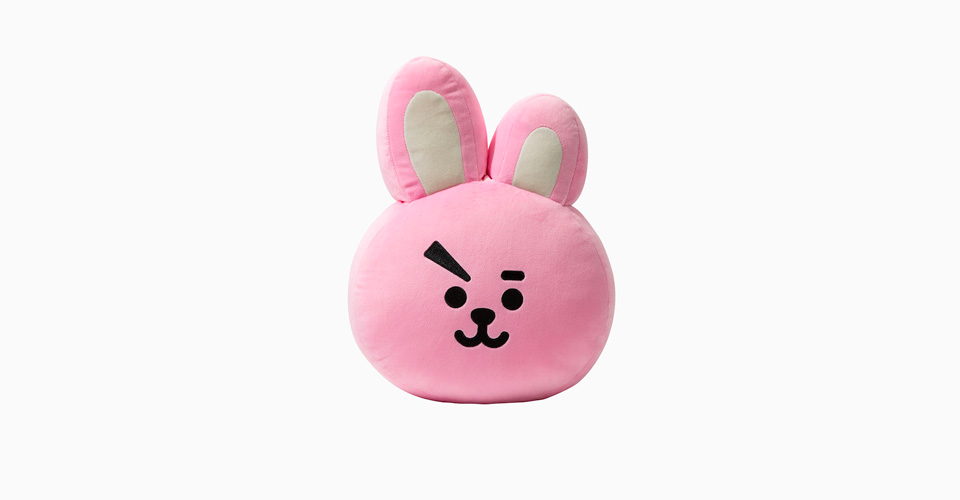 bt21 stufftoy