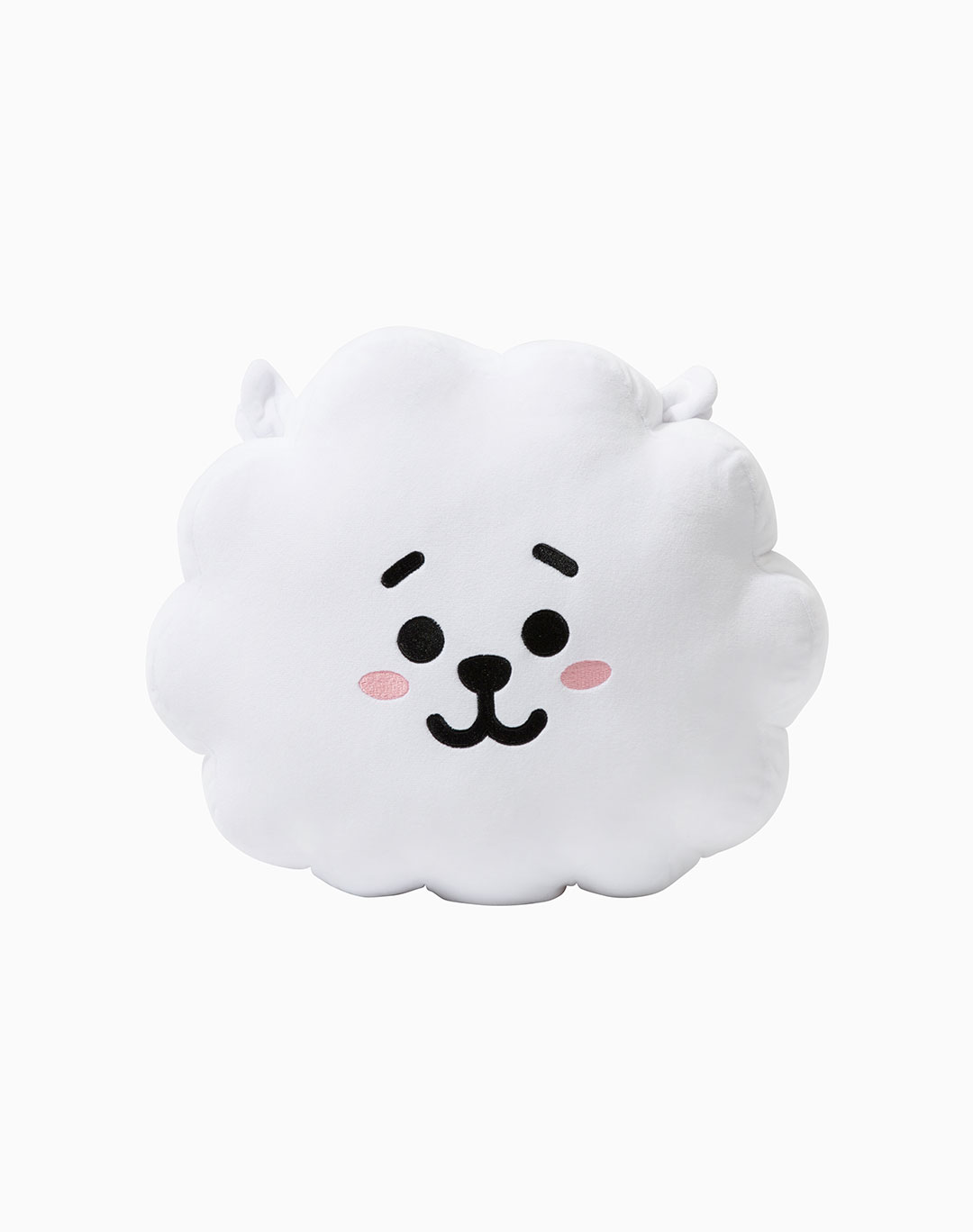 bt21 rj plush pillow